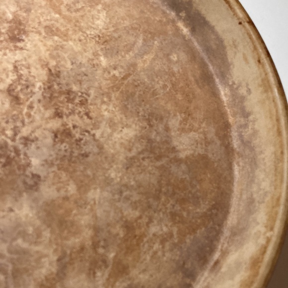 SASSAFRAS ENTERPRISES INC. SuperStone Dish - Picture 3 of 8